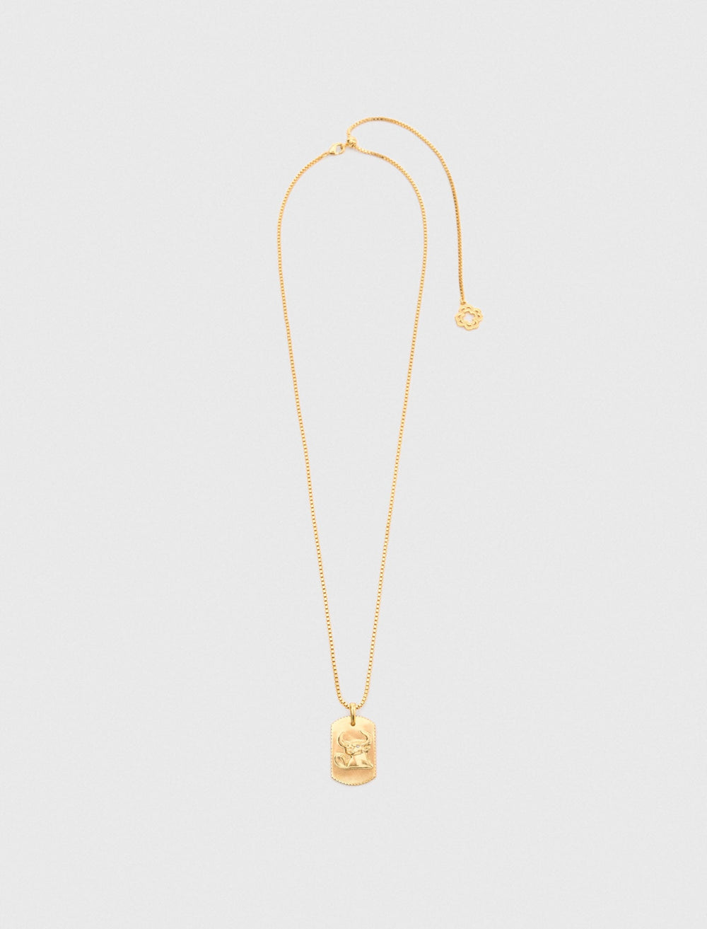 Maje Sale / Zodiac sign plaque necklace