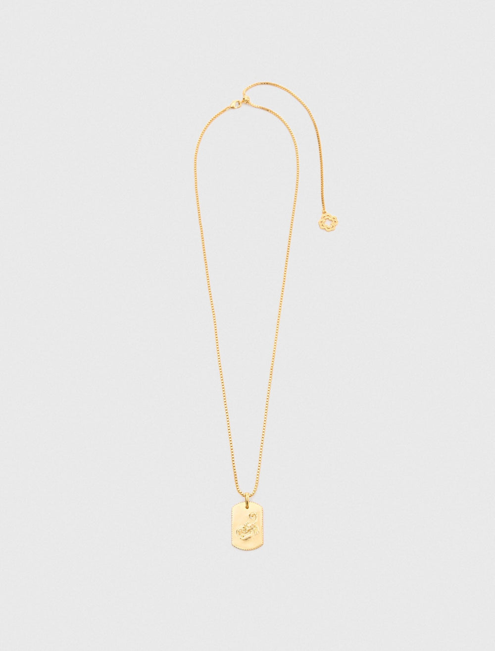 Maje Discount / Zodiac sign plaque necklace