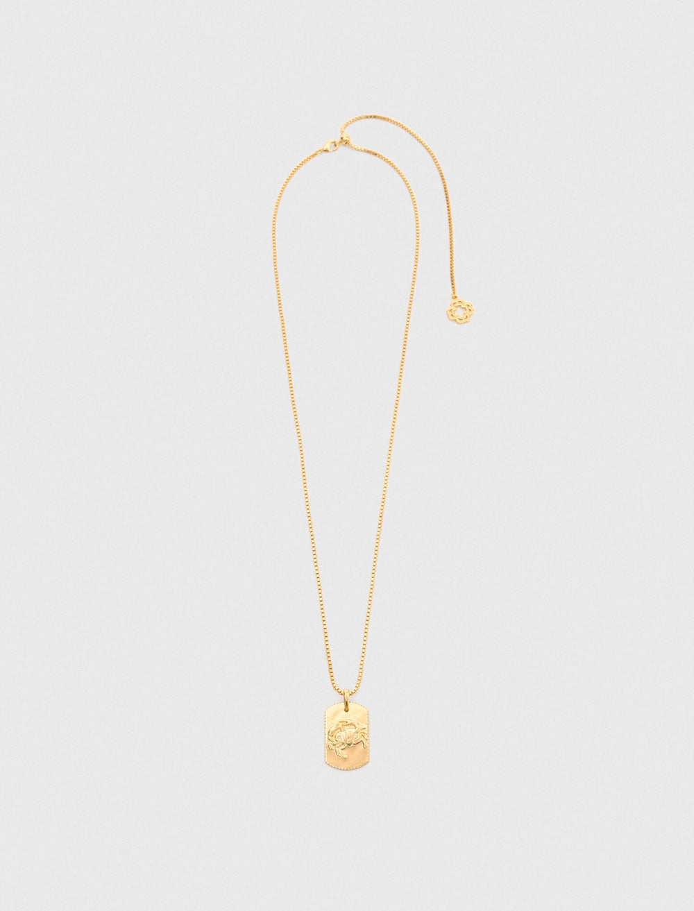 Maje Outlet / Zodiac sign plaque necklace