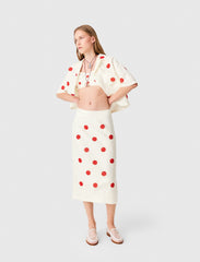 Maje New / Embroidered linen-silk pencil skirt