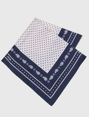 Maje New / 60x60 silk print bandana