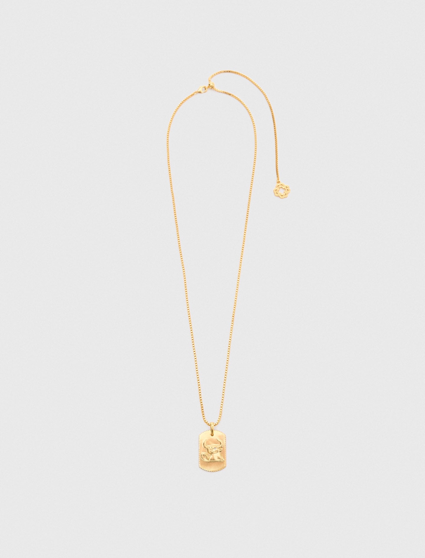 Maje Sale / Zodiac sign plaque necklace