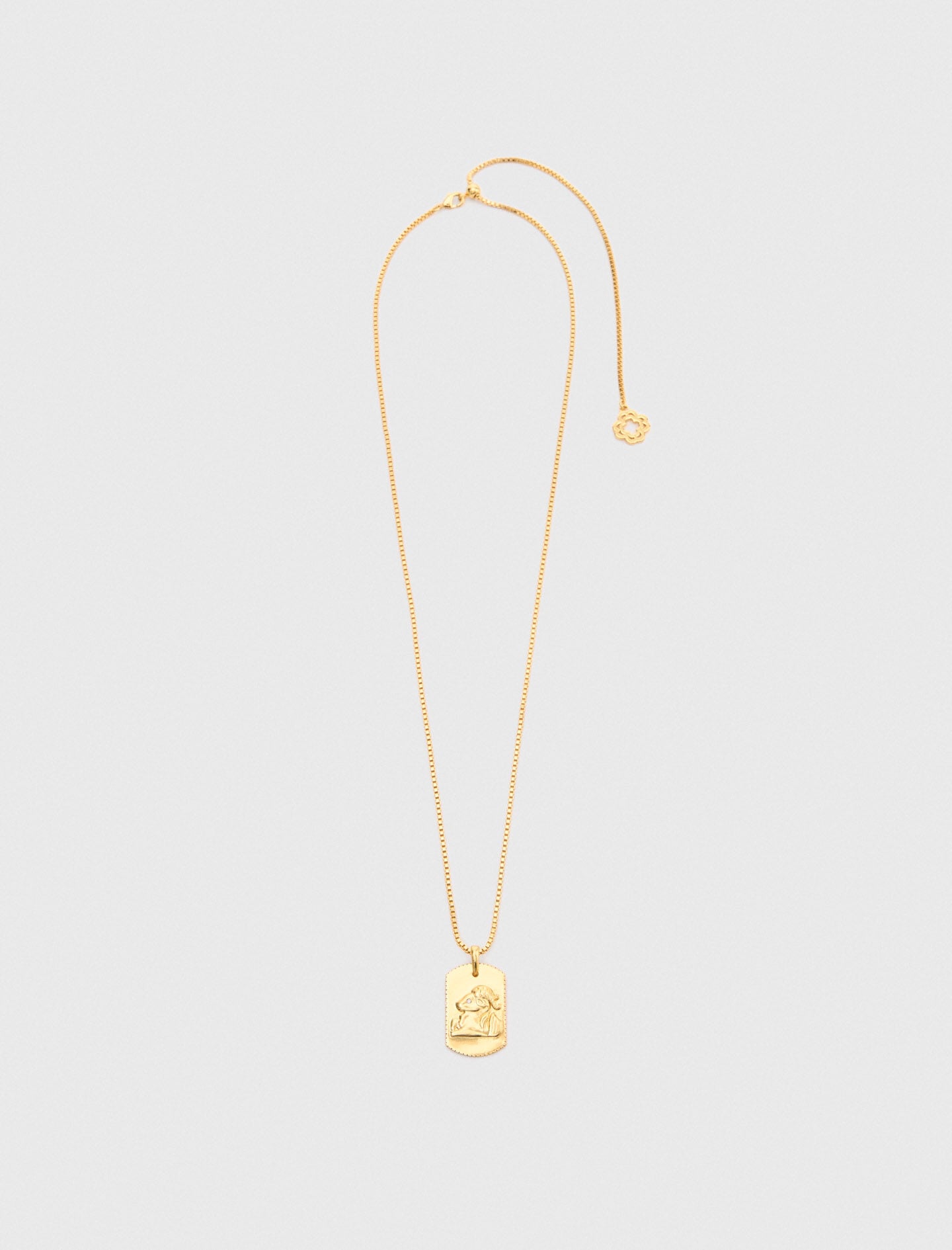 Maje Shop / Zodiac sign plaque necklace