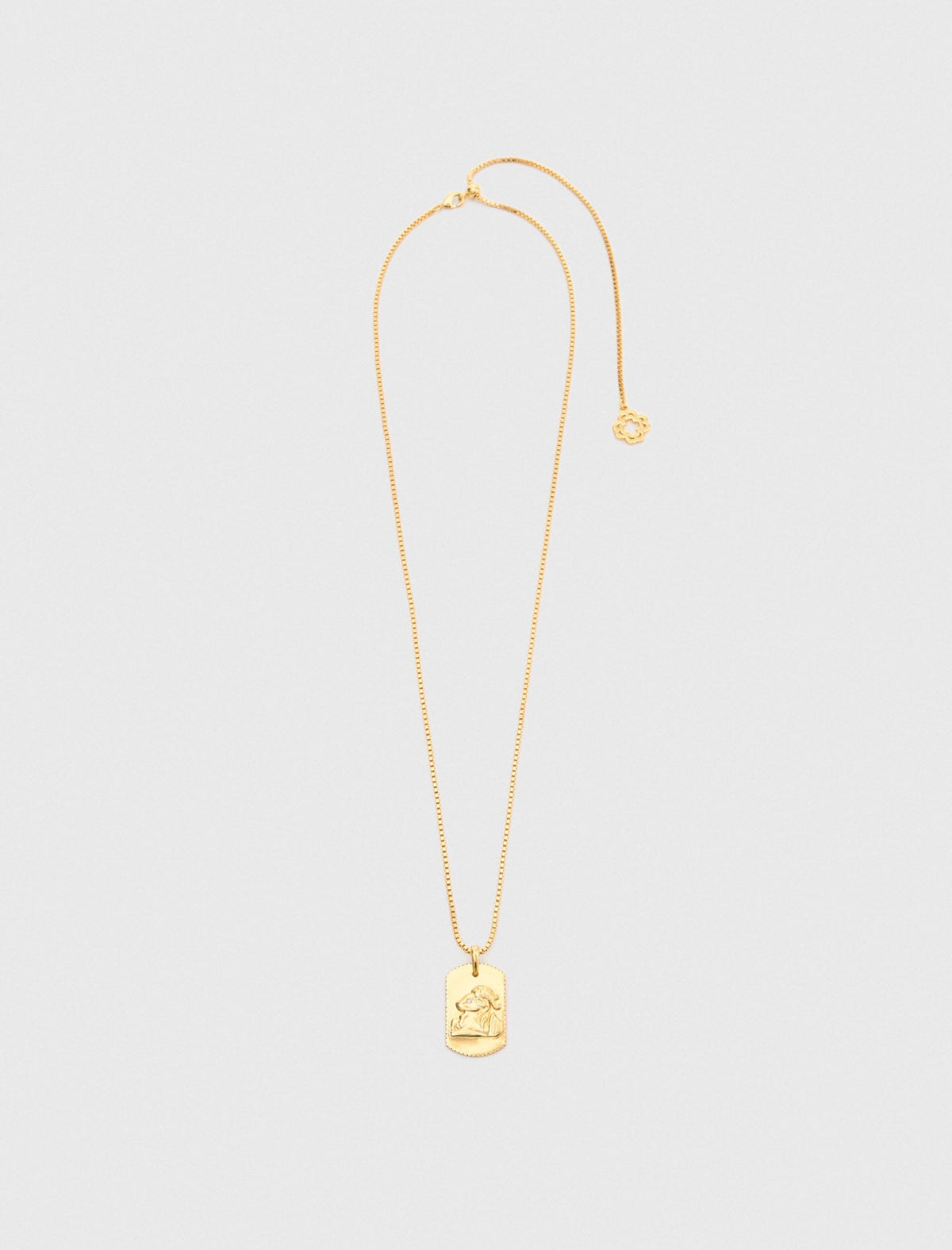 Maje Shop / Zodiac sign plaque necklace