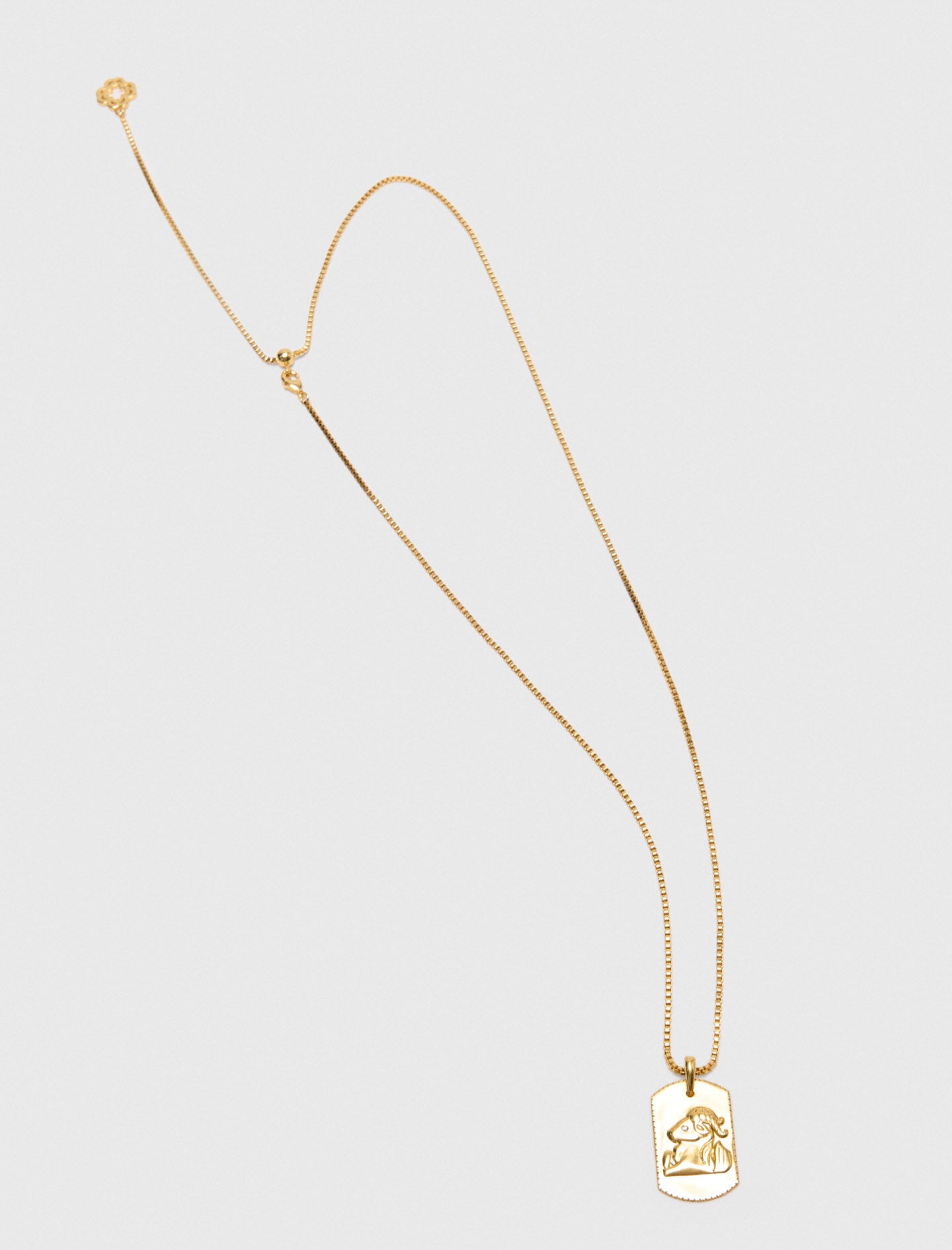 Maje Shop / Zodiac sign plaque necklace