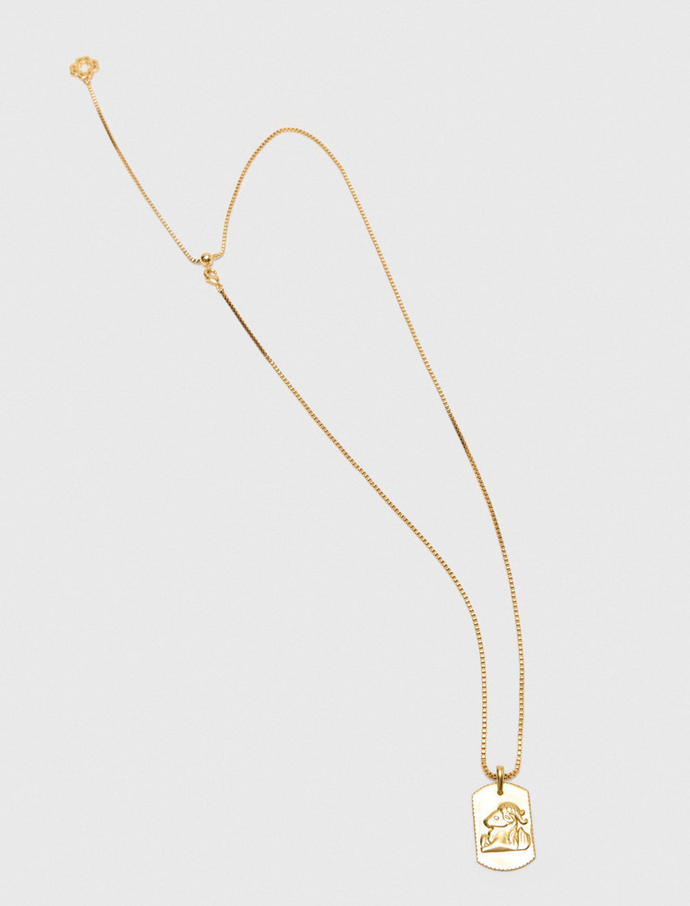 Maje Shop / Zodiac sign plaque necklace