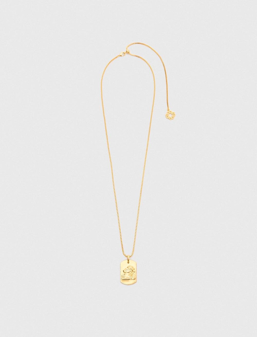 Maje Shop / Zodiac sign plaque necklace