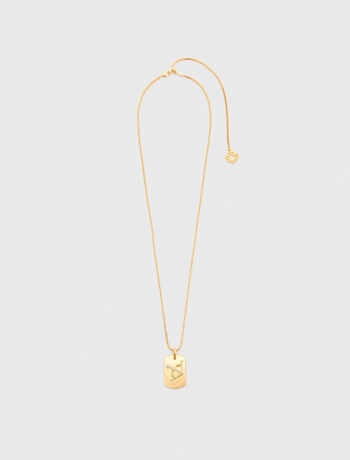 Maje On Sale / Zodiac sign plaque necklace