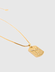 Maje On Sale / Zodiac sign plaque necklace