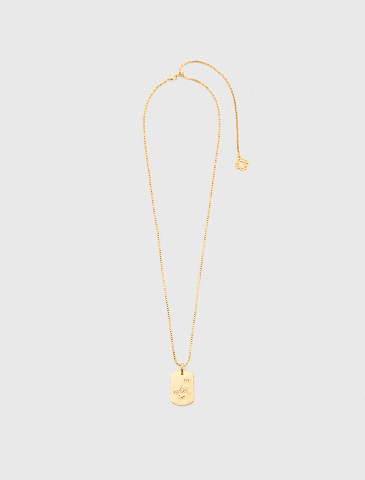 Maje Discount / Zodiac sign plaque necklace