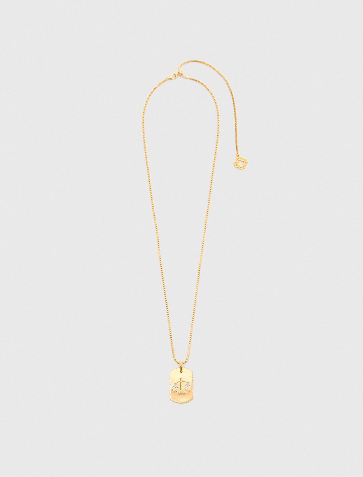 Maje Shop / Zodiac sign plaque necklace