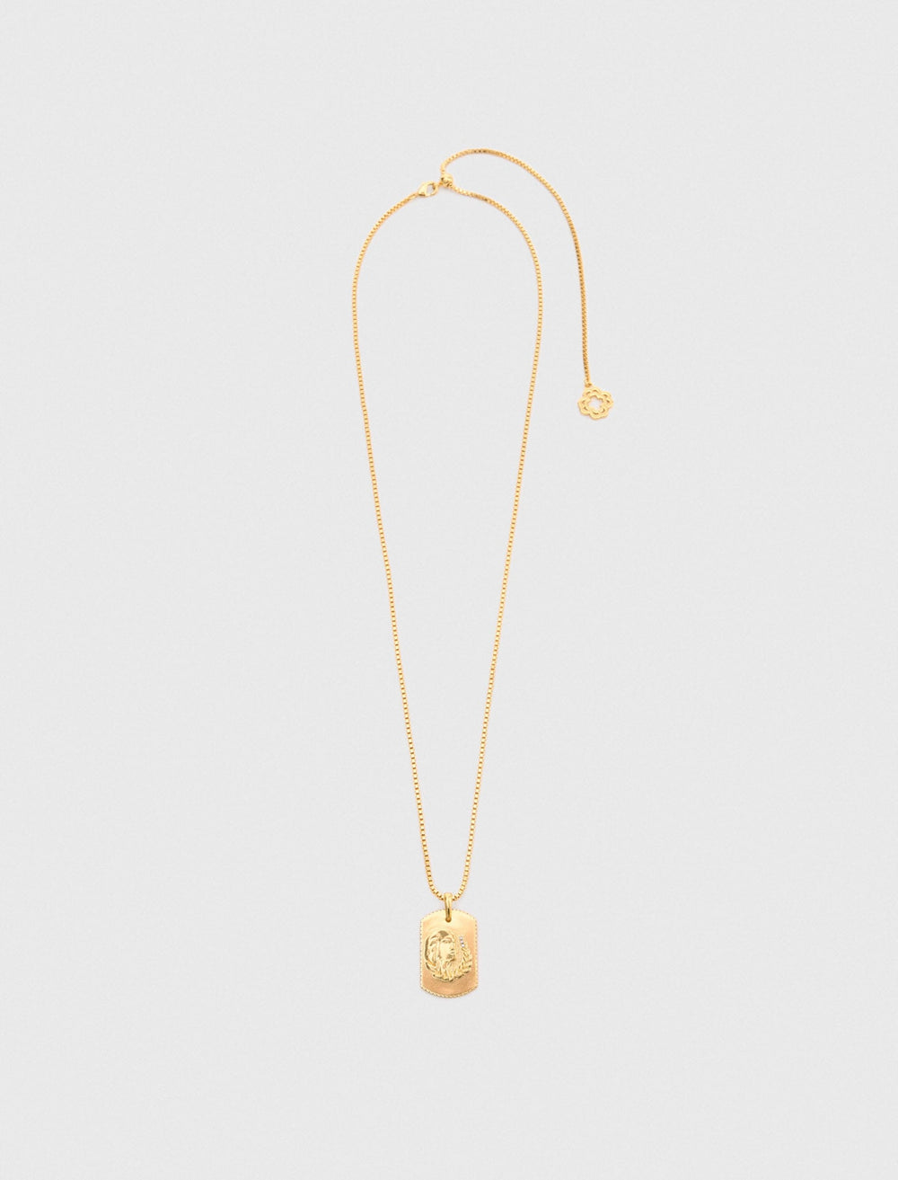 Maje Sale / Zodiac sign plaque necklace