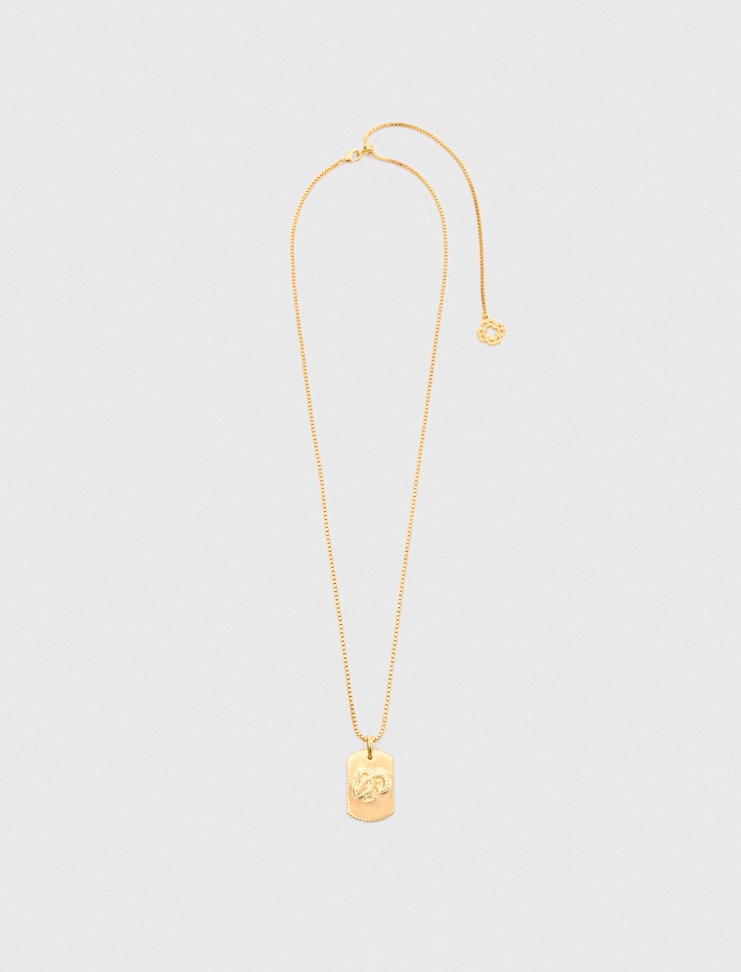 Maje Online / Zodiac sign plaque necklace